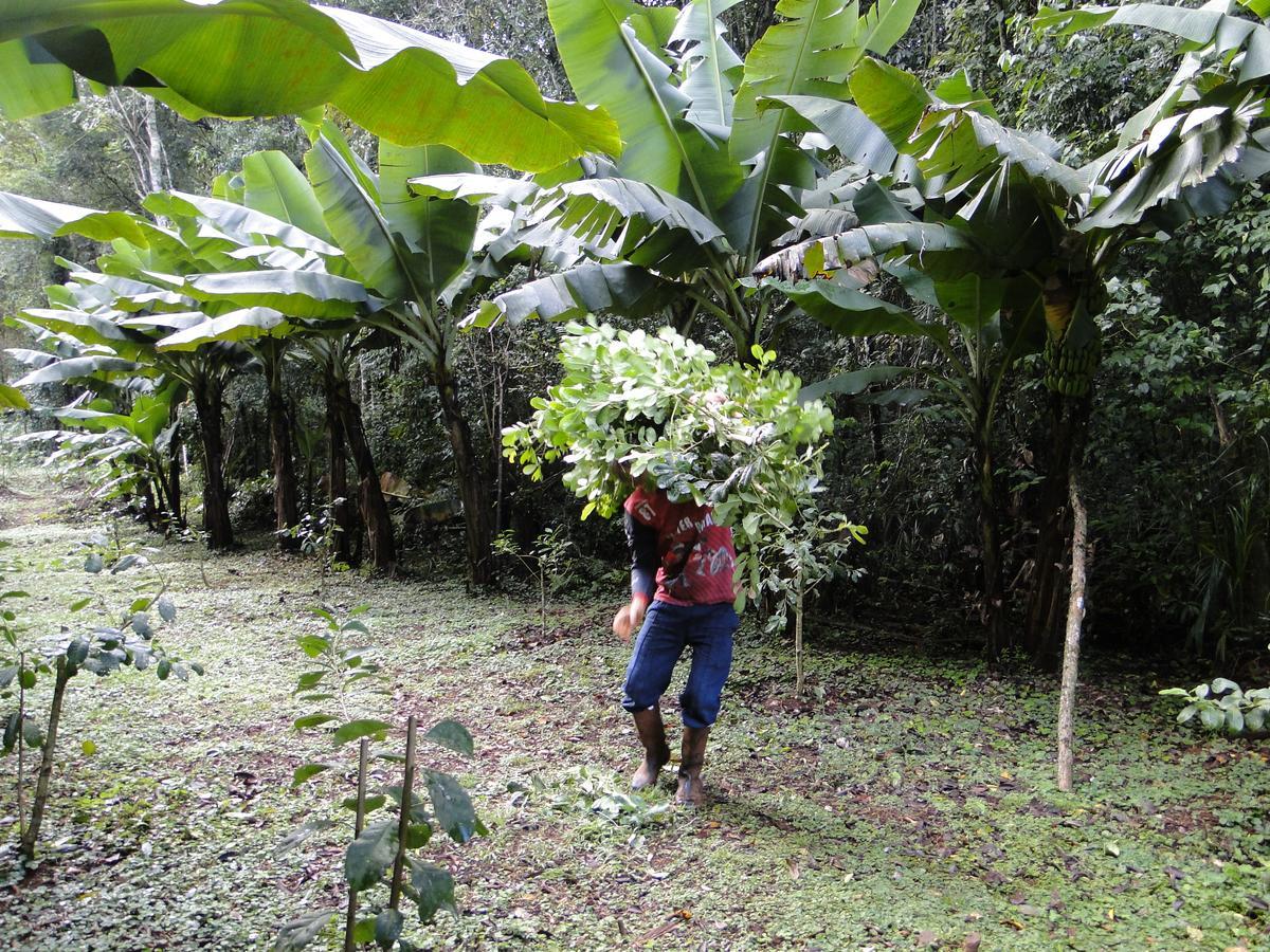 Yasi Yatere Reserva Agroecologica El Soberbio Exterior foto